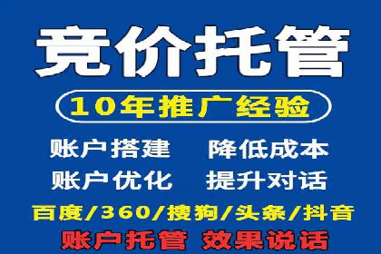 百度竞价代运营实战：某电商平台的销量翻倍秘诀